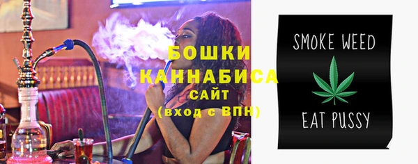 спайс Нея