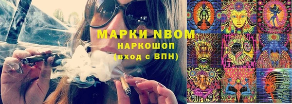 спайс Нея