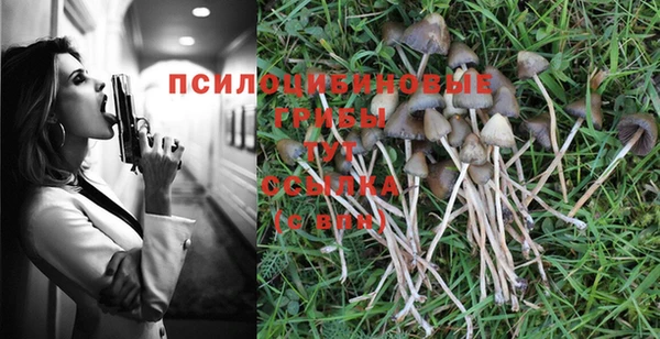 дмт Кодинск