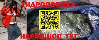 mdpv Новодвинск