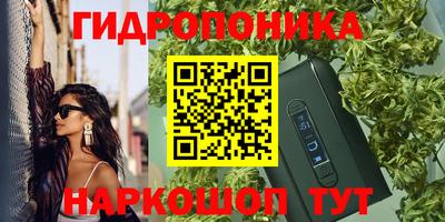 прущие грибы Новокубанск