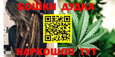 mdpv Новодвинск