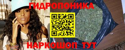 прущие грибы Новокубанск