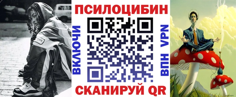 Псилоцибиновые грибы Psilocybe  Находка 
