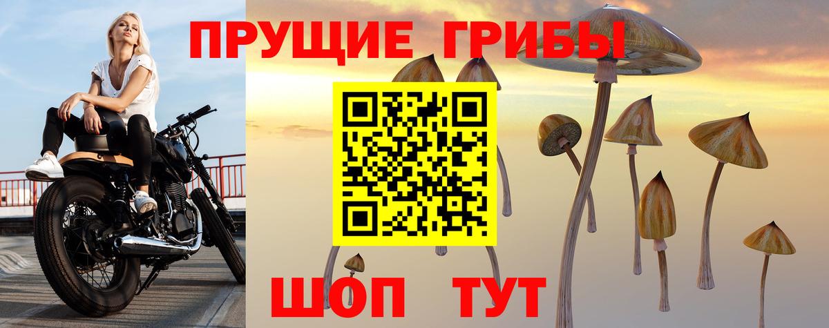 Псилоцибиновые грибы ЛСД  Вход с VPN  Находка  Галлюциногенные грибы мицелий 